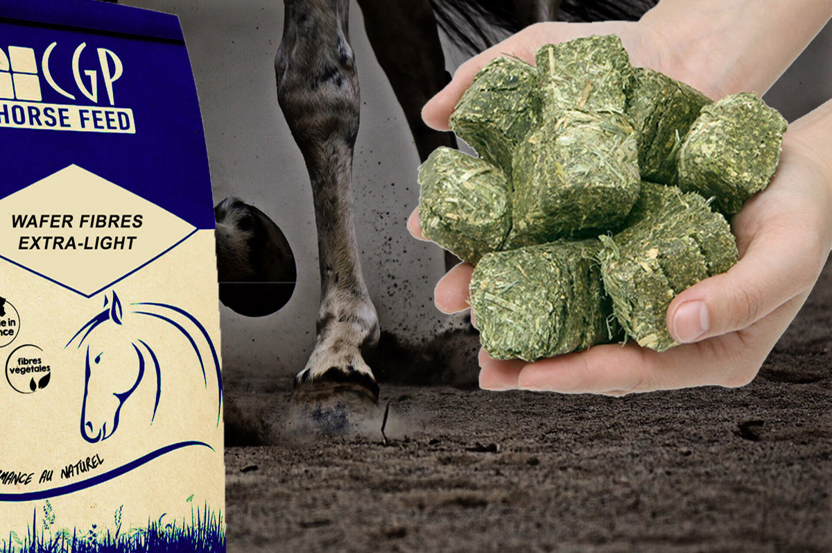bien nourrir son cheval